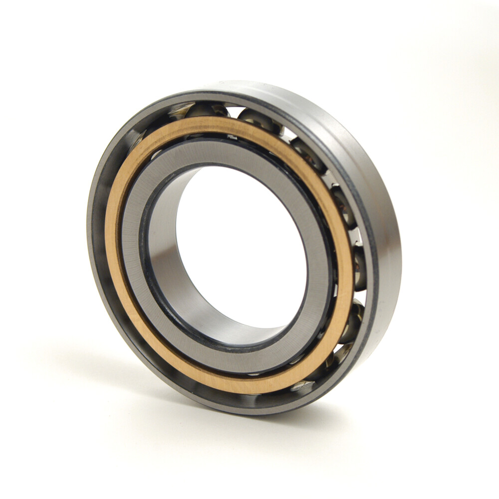 Featured image for “TRITAN 7219BMG”